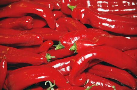 Organic red paprika for sale Red peppers as background