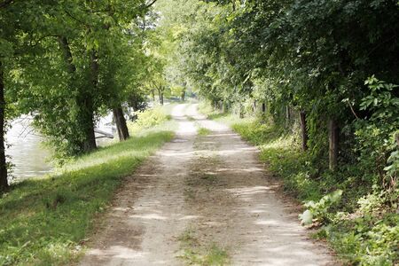 Romantic dusty road in countryside rural scene