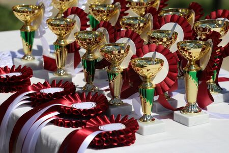 Group of the trophies and ribbons for the winnersの写真素材