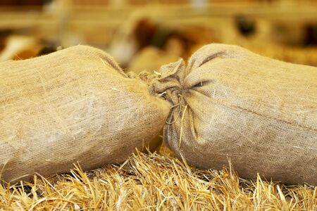 Summer background of hay from stack with bags
