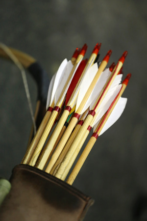 Various colored arrows in quiver as a backgroundの写真素材