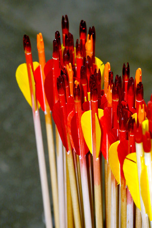 End of arrows with feathers as a background