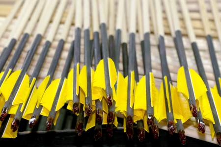 End of arrows with feathers background