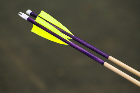 Colorful sport arrows as a background