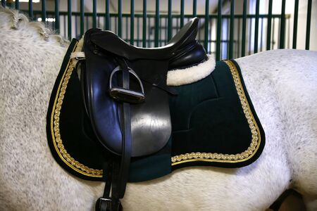 Beautiful leather saddle for equestrian sports on horsebackの写真素材