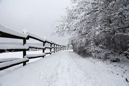 Horizontal winter landsape of rural animal farmの写真素材