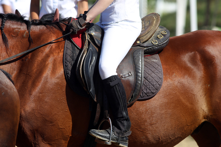 Sport horse close up with unknown rider under leather saddle on show jumping competitionの写真素材