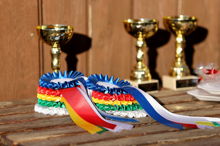 Closeup of colorful ribbons awards rosettes and trophys for winners In equitation competitionの写真素材