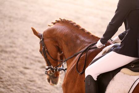 Unknown contestant rides at dressage horse event in riding ground. Head shot closeup of a dressage...