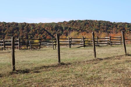 Autumnal colours at rural animal farm countryside