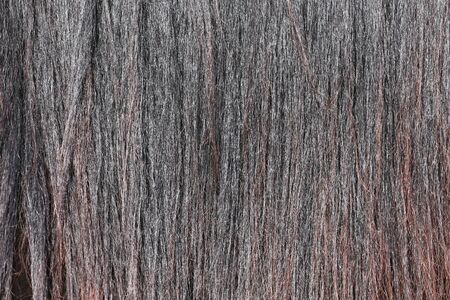 Details of beautiful reddish horse mane outdoorsの写真素材