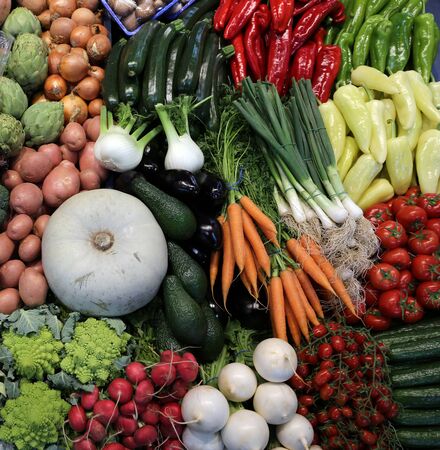 Group of various vegetables and as background. Agricultural products as a background. Healthy organic harvest vegetables as seasonal kitchen ingredients for sale at farmers marketの写真素材
