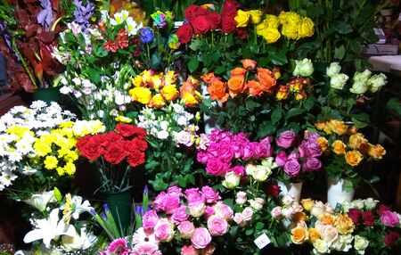 Various colorful roses for sale on marketの写真素材