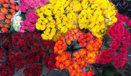 Various colorful roses for sale on market