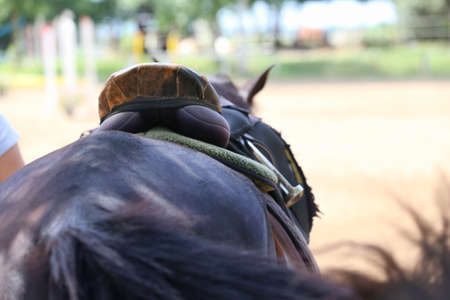 Sport horse close up and old leather saddle ready for dressage training. Equestrian sport backgroundの写真素材