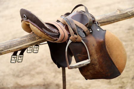 Sport horse close up and old leather saddle ready for dressage training. Equestrian sport backgroundの写真素材