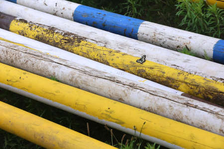 Group of horse riding equestrian sport trophies and badges rosettes at equestrian event on white wooden fenceの写真素材