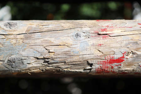 Photo of show jumping poles wooden barriers for jumping horses as a backgroundの写真素材