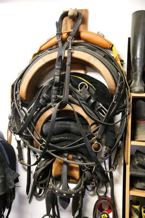 Close up of accessories in a tack room at rural riding school. Storage room with riding tack