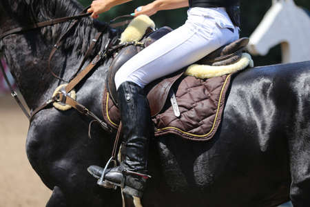 Unknown competitor riding on show jumper horse on equitation event summer time. Show jumper horse under saddleの写真素材