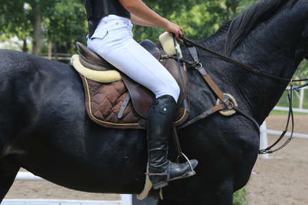 Unknown competitor riding on show jumper horse on equitation event summer time. Show jumper horse...
