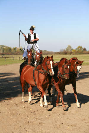 PUSZTA, HUNGARY, SEPTEMBER, 04. 2020: Hungarian csikos in traditional folk costume showing his trained five horses. Traditional horse show in Hungary Europe. September 04. 2020, Hungary Easternのeditorial素材