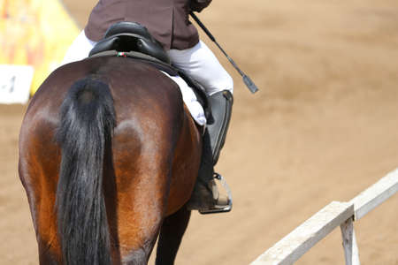 Unknown competitor riding on show jumper horse on equitation event summer time. Show jumping horse under saddle in actionの写真素材