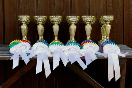 Group of equestrian sport trophies and badges rosettes at equestrian event in row. Pile of sport trophies and badges rosettes for the winners on the show jumping competitionの写真素材