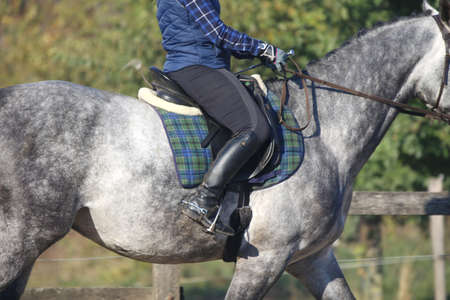 Close up of an unidentified competitor rider on a show jumper horse. Equitation event at summertime....