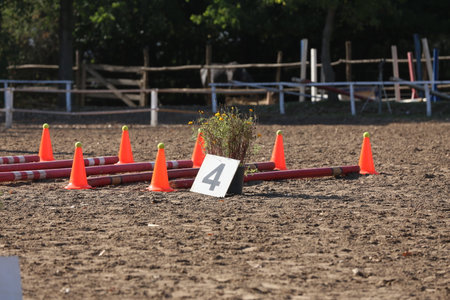 Obstacles and buoys in the sand in an empty equestrian centerの写真素材