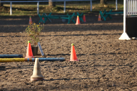 Obstacles and buoys in the sand in an empty equestrian centerの写真素材