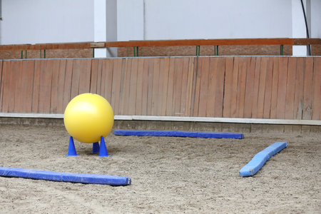 Plastic physioball on the sand during training for beginner riders and horses at riding school indoors. Equestrian backgroundの写真素材