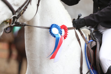 On a show jumper horse in the saddle sits a rider with a rosette of the winner in equestrian competitions during the winners event. Equestrian sports and victory. Riding a horse. Equestrian background.の写真素材