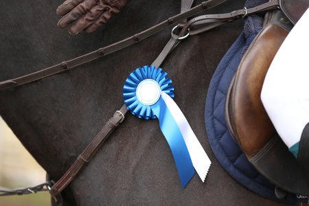 On a show jumper horse in the saddle sits a rider with a rosette of the winner in equestrian competitions during the winners event. Equestrian sports and victory. Riding a horse. Equestrian background.の写真素材
