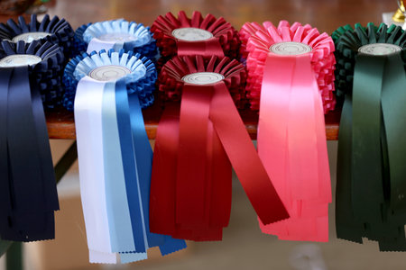 Group of beautiful colorful trophies and ribbons for the winners and participants at open air...