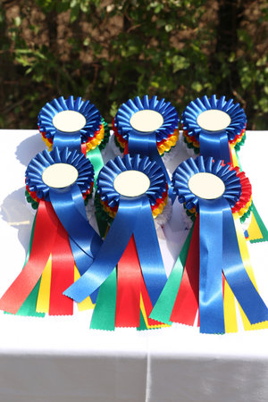 Wonderful equestrian prizes and awards for the participants at an open air equestrian event...