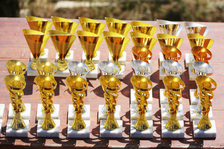 Award trophies waiting for competitors after amateur equestrian championship in row. Golden silver...