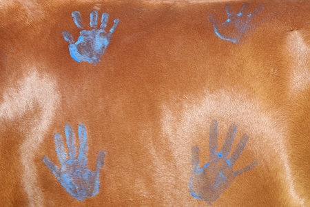 Child's paws on the school horse at the summer children's riding camp outdoors. Equestrian backgroundの写真素材