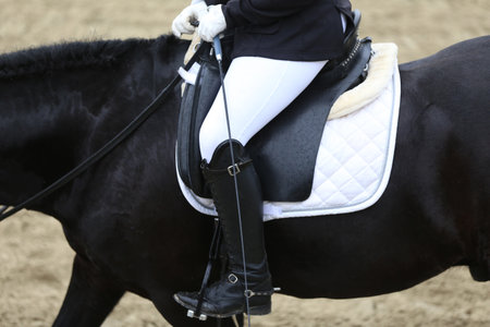 Close-up of a dressage horse under saddle at a summer competition. Beautiful quality leather saddle.の写真素材