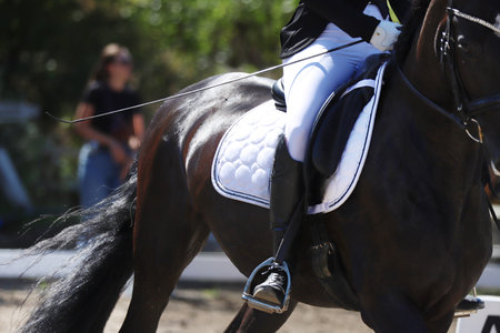 Close-up of a dressage horse under saddle at a summer competition. Beautiful quality leather saddle on a racehorseの写真素材