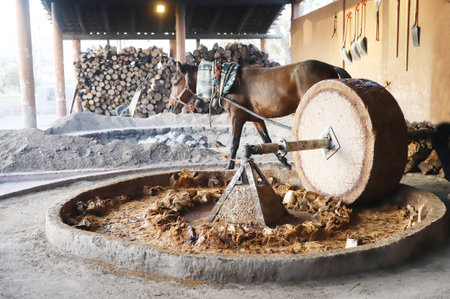Horse powered stone grinding wheel used in the production of mezcal in Mexico. Domestic horse...