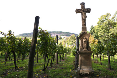13.10. 2025; Badacsony Mountain, Hungary; Statue of Jesus Christ in vineyard, Badacsony, Lake...