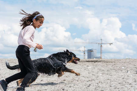 A black and brown dog is delighted to be out and play at the beach. The dog race with a young girlのeditorial素材