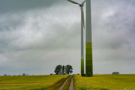 A wheat field with two large wind power towers in the background. Dark clouds. The picture was taken...