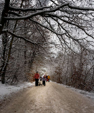 January 17, 2021 - Hoor, Sweden: People leave the city and enjoy hiking in the winter landscapeのeditorial素材