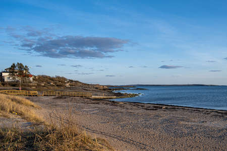 Golden light in the sunset at an ocean beach. Blue sky and ocean in the background. Picture from the...