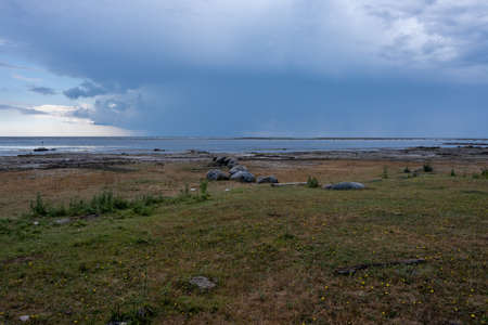 A moor landscape with a blue sky and ocean in the background. Picture from the Baltic Sea island of...