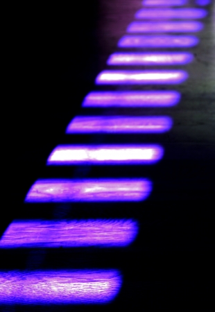 Purple Reflectionの写真素材