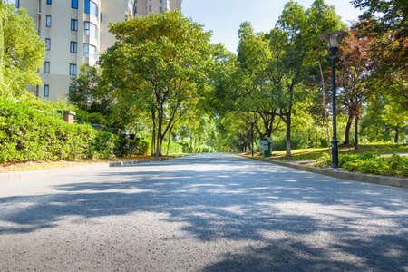 asphalt road and green tree in countrysideのeditorial素材