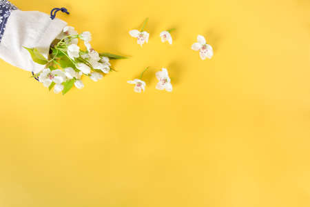 spring background; fresh flower on yellow background.